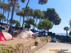 Stellplatz für ein Zelt auf Camping Cala Gogo
