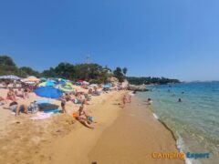The beach Cala Ses Torretes of Camping Cala Gogo
