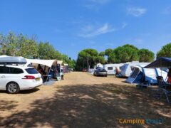Kampeerplek Standard op Camping Castell Montgri