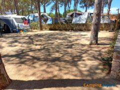Stellplatz Camping Cypsela Campingplatz