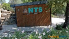 Camping HU Norcenni Girasole Village Ants Nest
