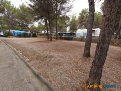 Camping pitches Camping Vilanova Park