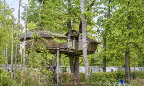 Special rental accommodation Treehouse