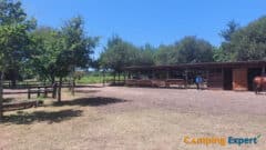 Paarden manage - camping Le Col Vert